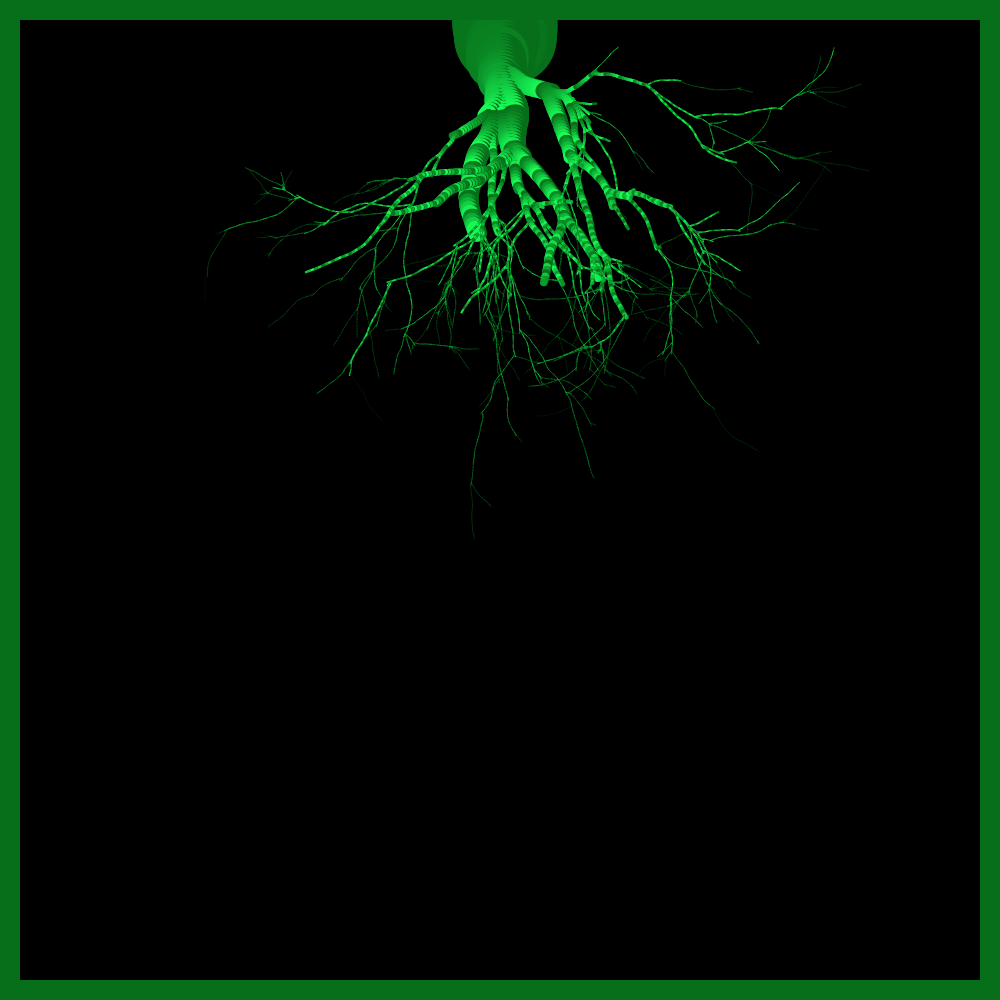 Arbres suspendus #222