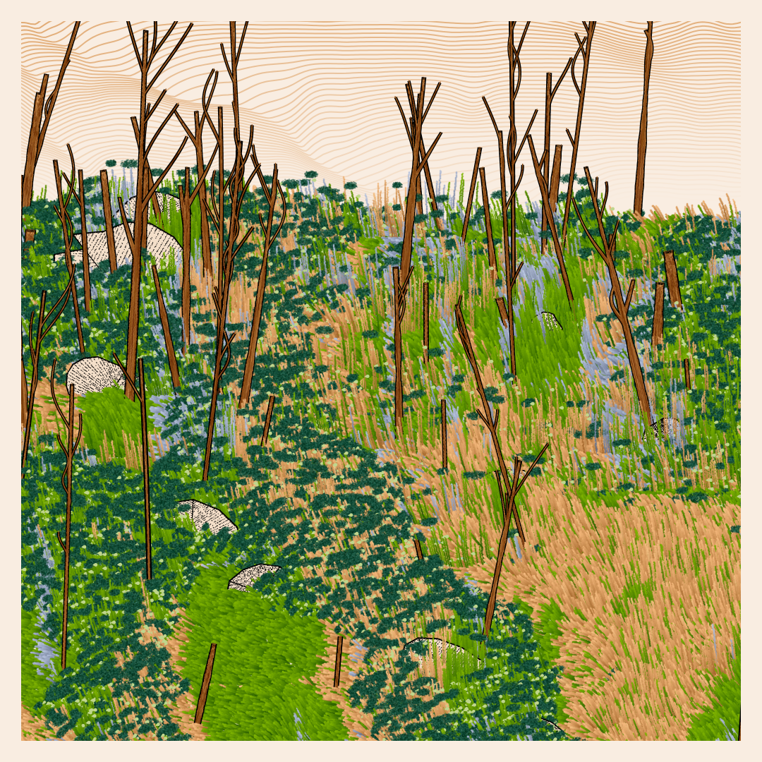 Bagh #80