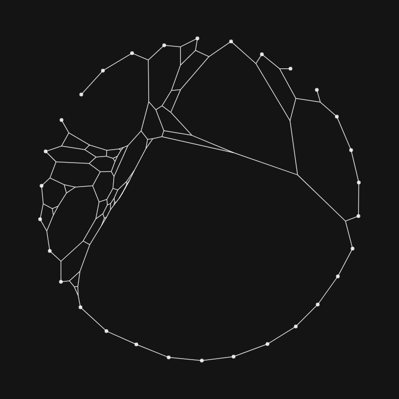 Elastic Web #319