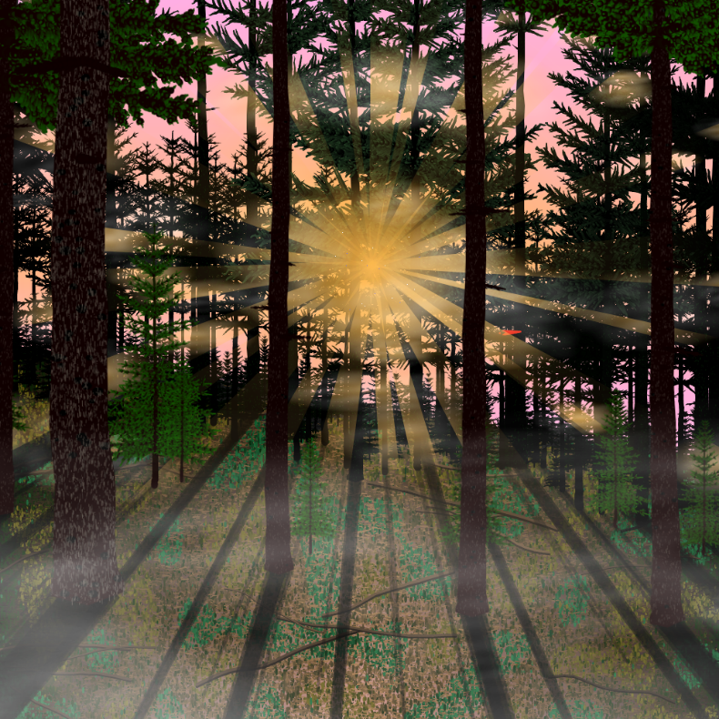 Forest Sunrise #10