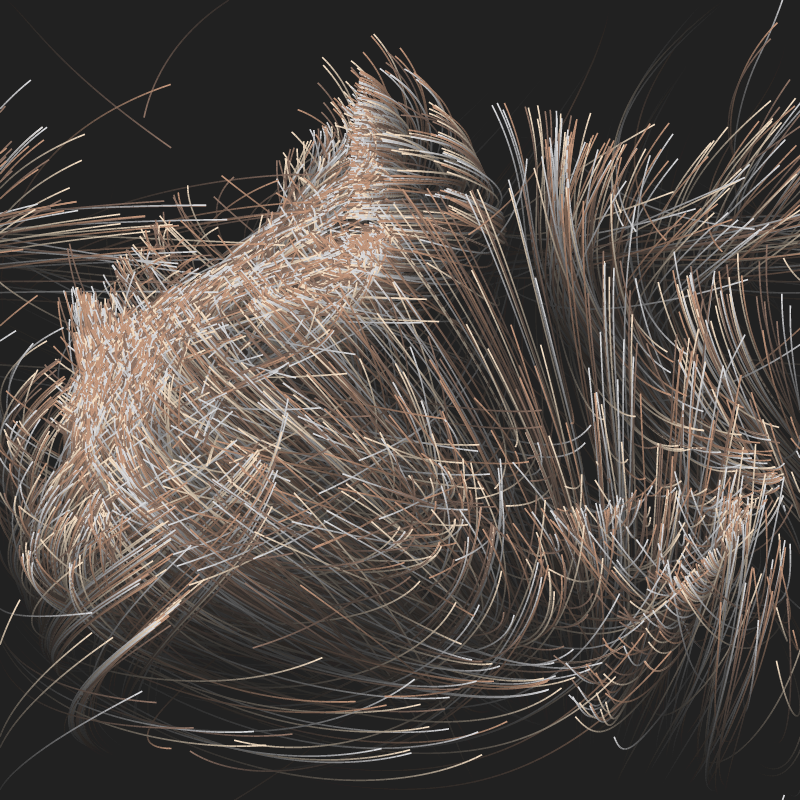 Strange Attractor Swarm