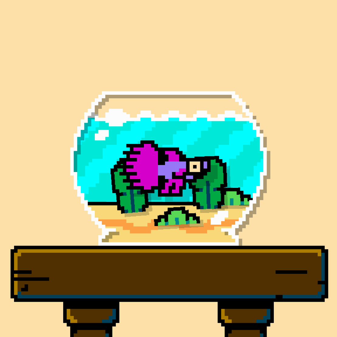 betta fish #393