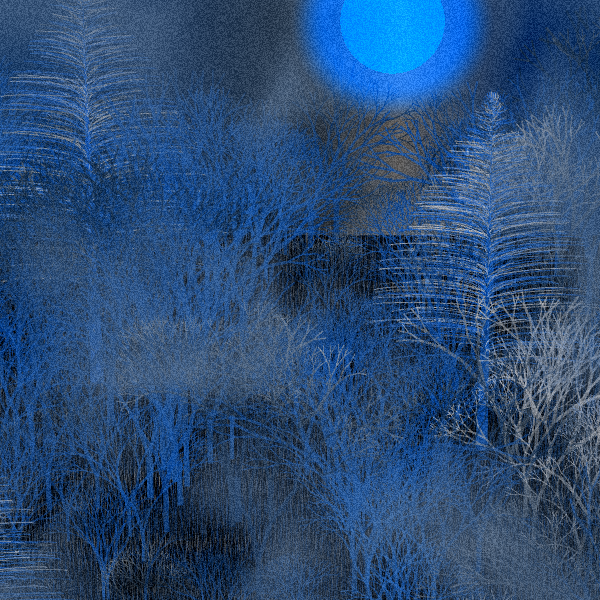 Moonlit Native Bush #19