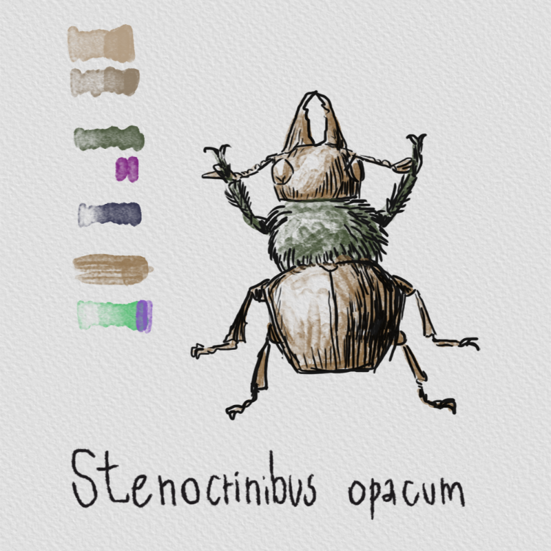 Randomic Fauna1 #12