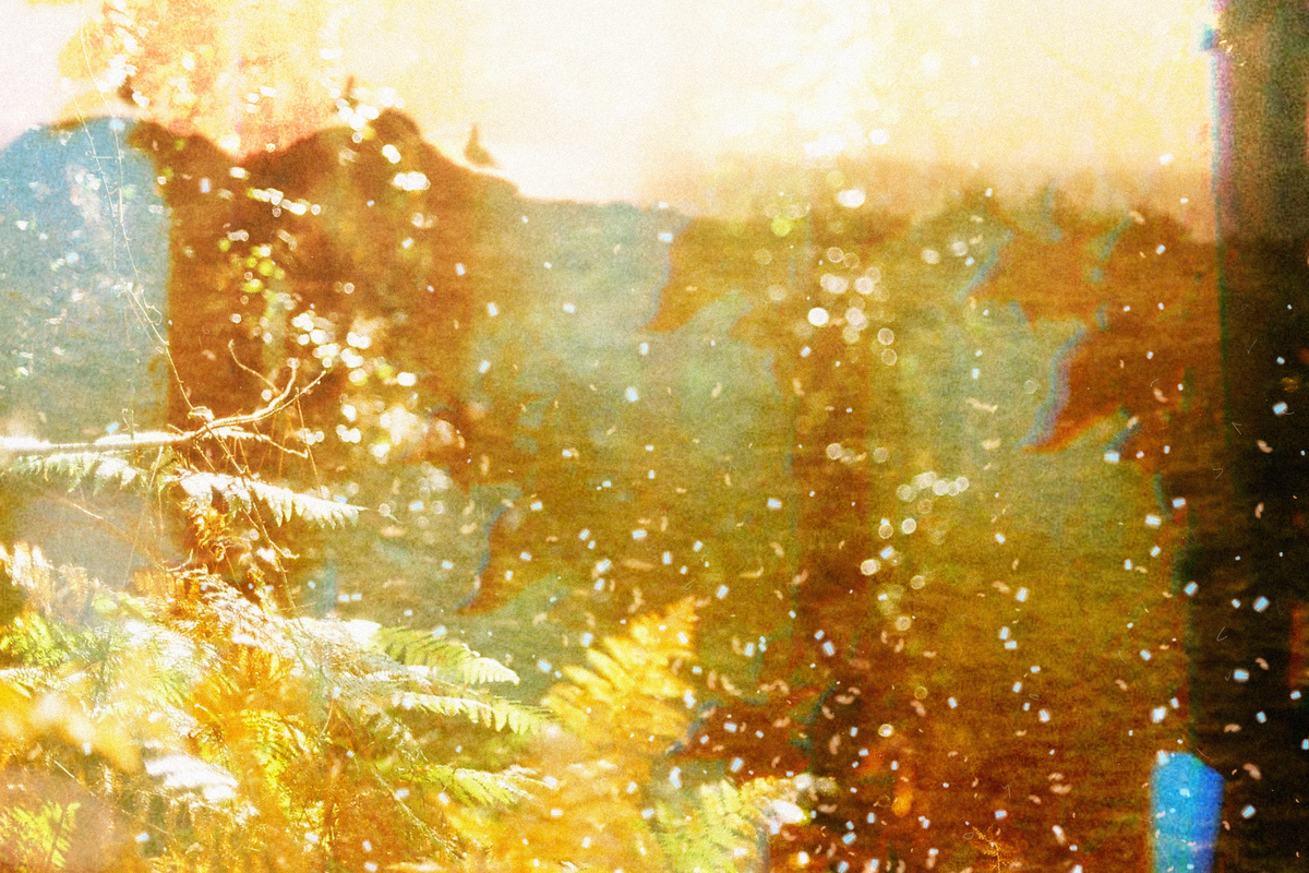 in between #43