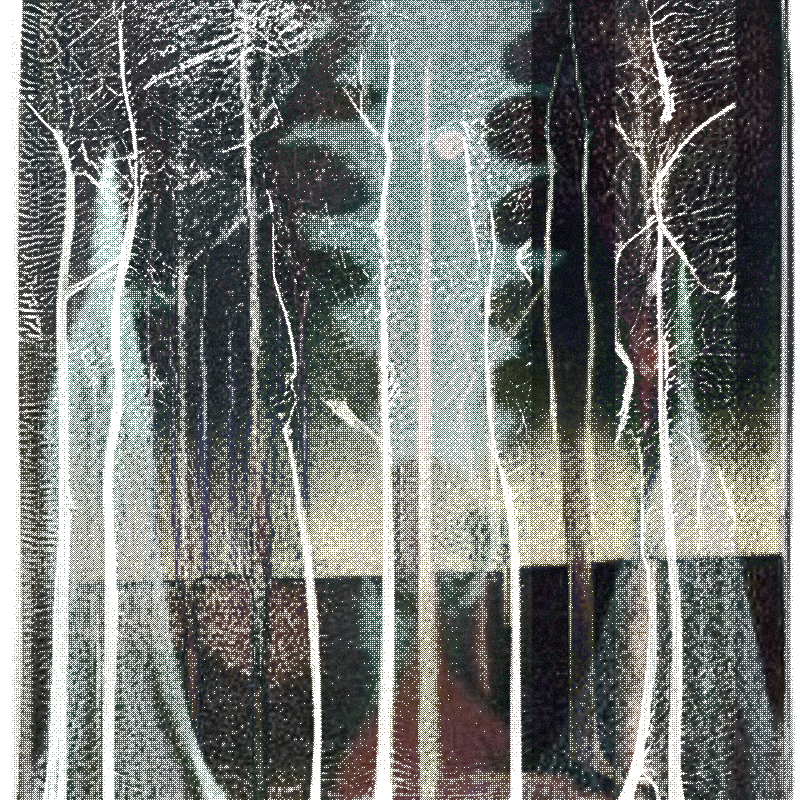 The Hum of Cyber Forest #165