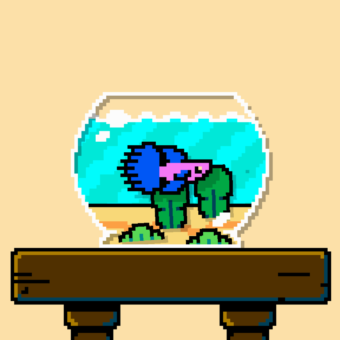 betta fish #2