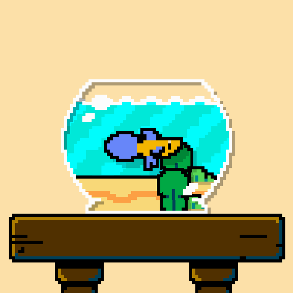 betta fish #122