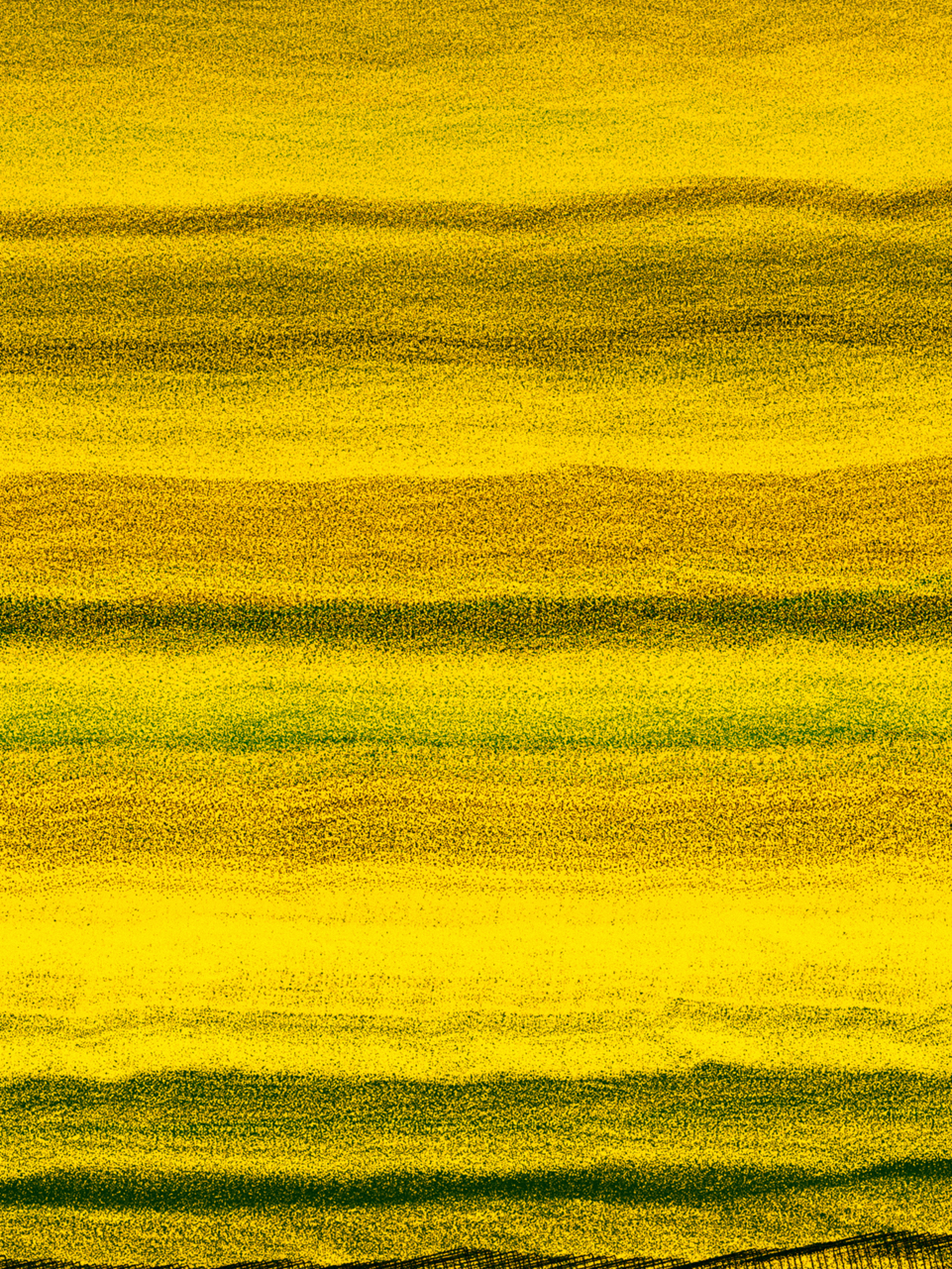 Floating Point  #11