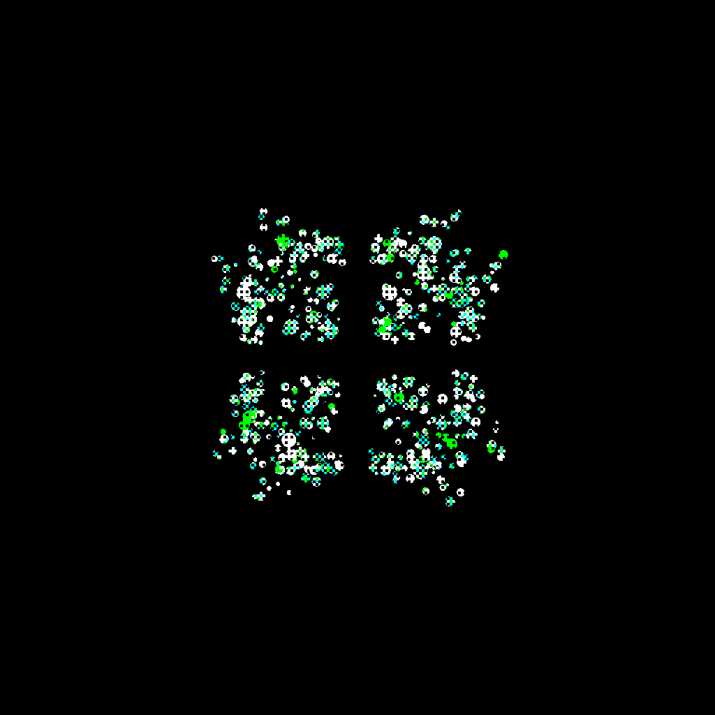 Chromoplasm #146