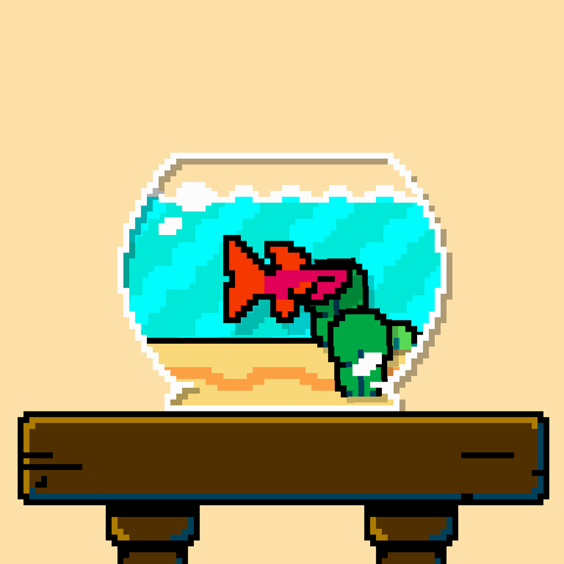 betta fish #383