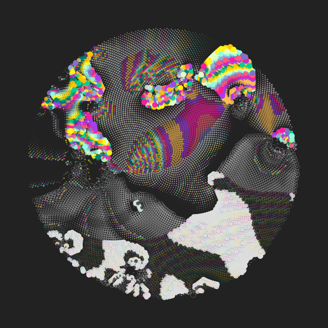 Still C #26471