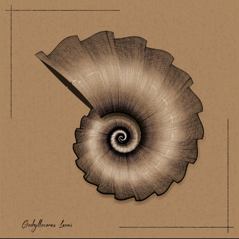 Ammonites #64