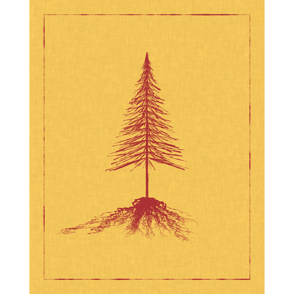 Roots #21