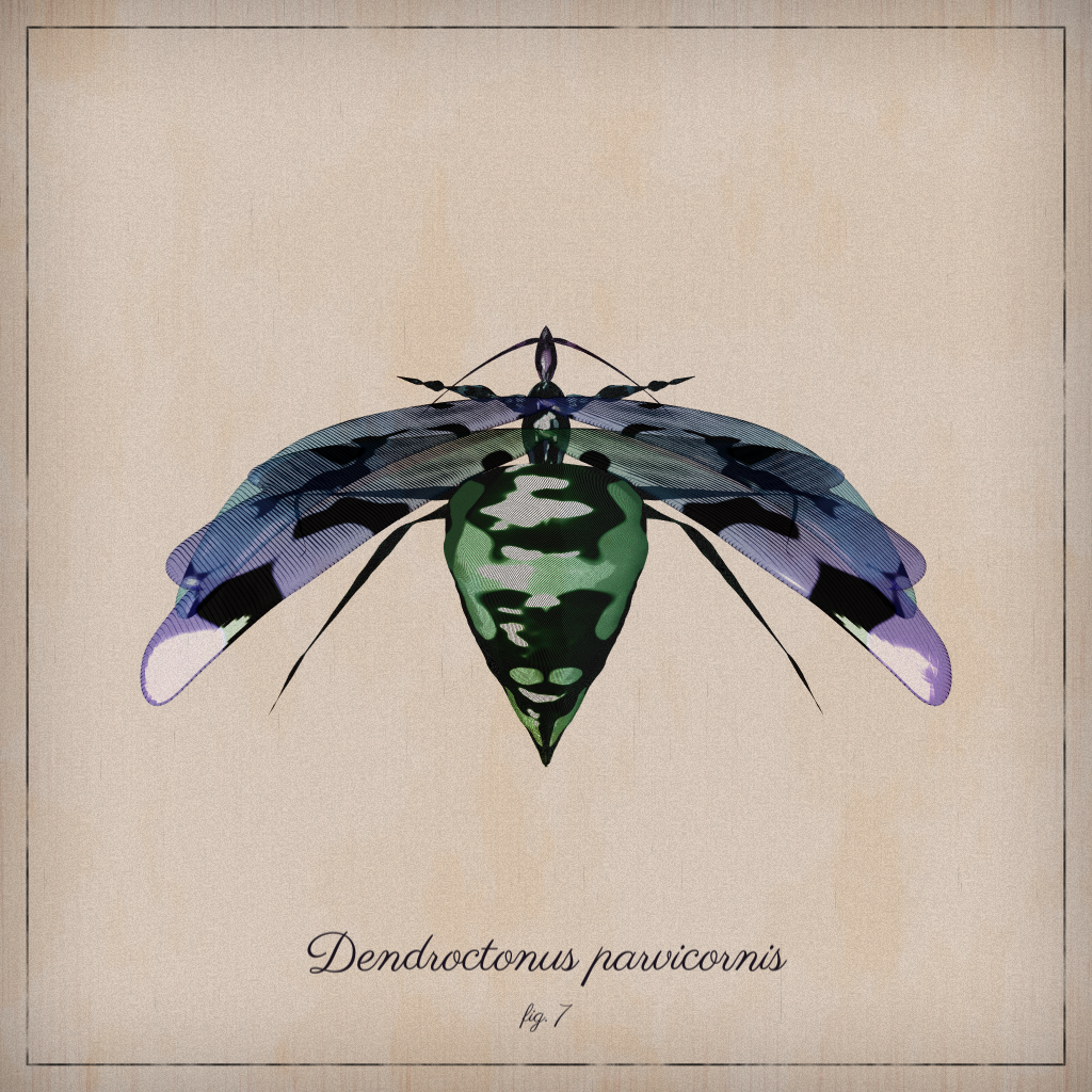 ProcGen Entomology #230