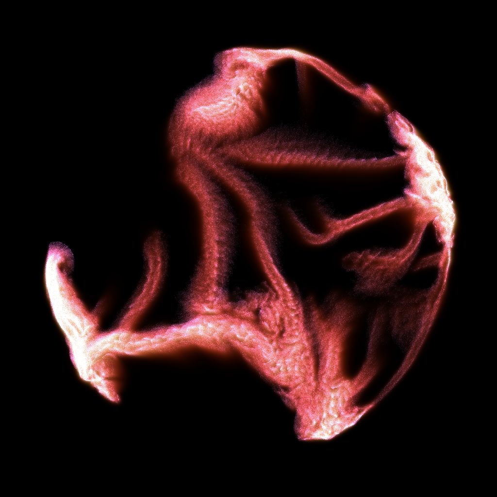 PETRI #81