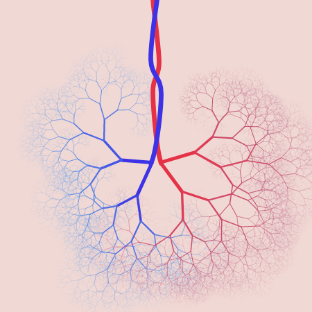 capillary trees #19