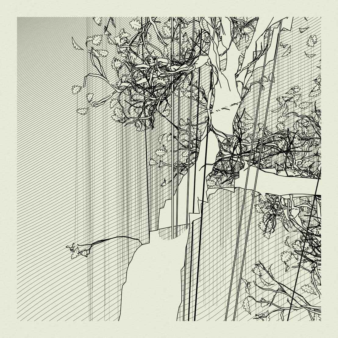A Bugged Forest #620