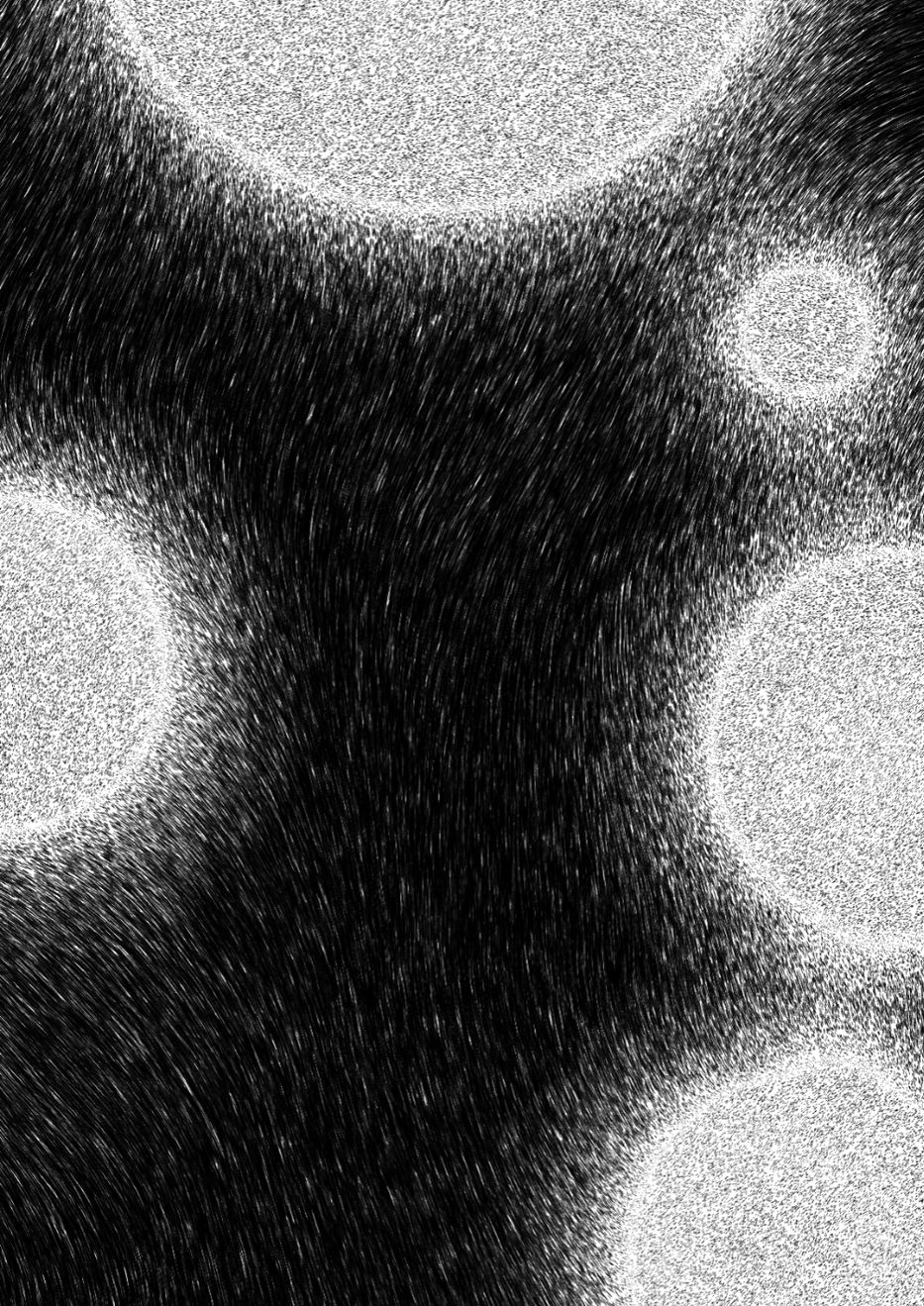 Flux #2
