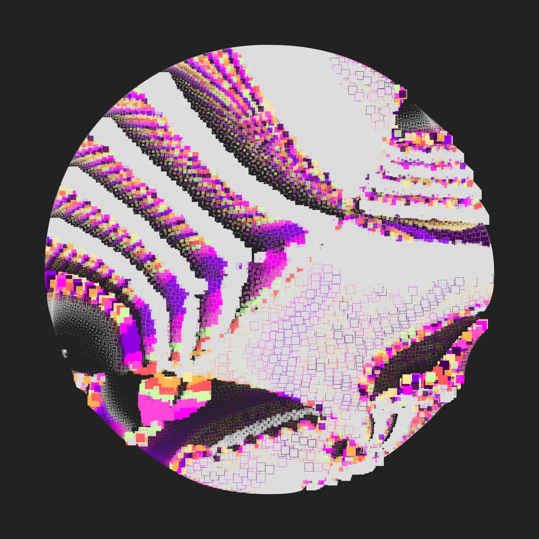 Still C #24344