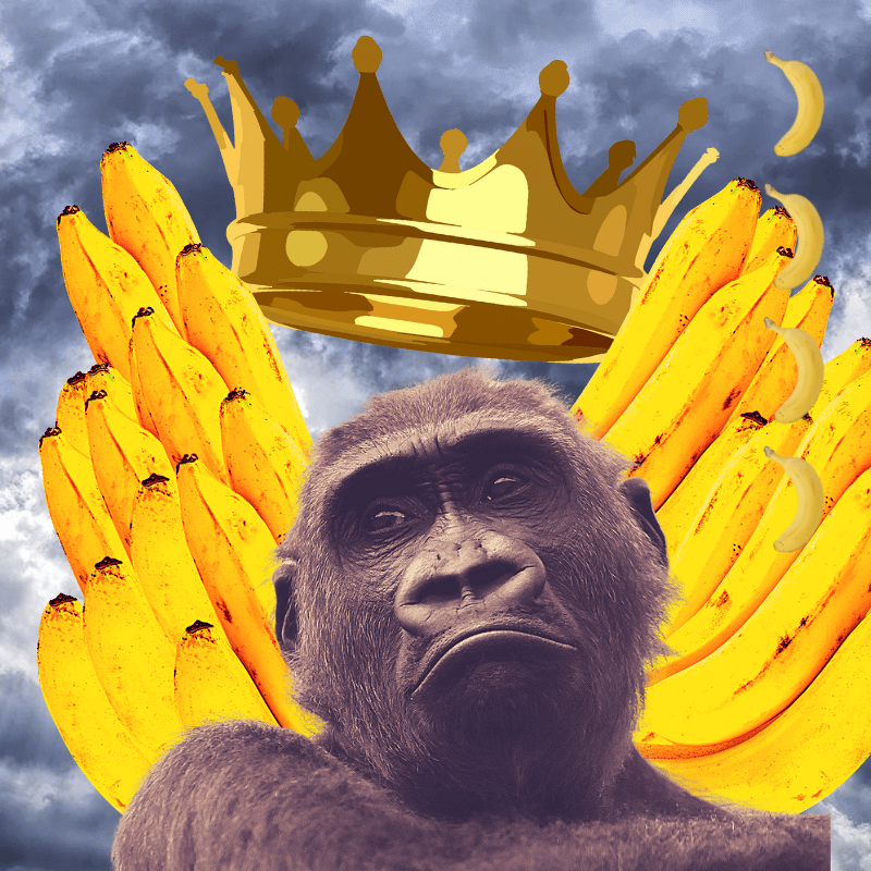 Banana gods #26