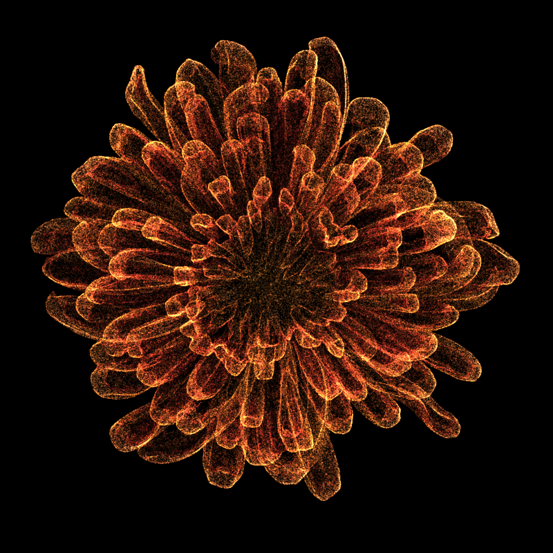 Chrysanthemum Morifolium 30 #115