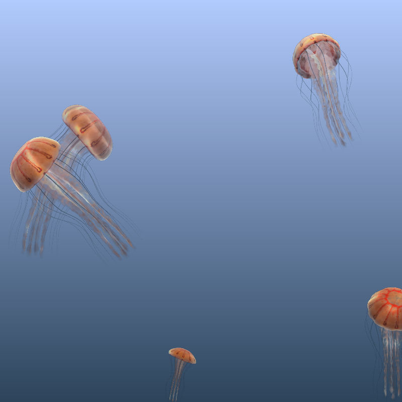 Jellyfish #4