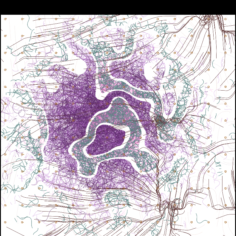 Topoexgrafia #21