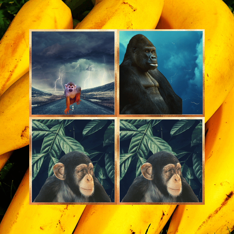 Banana legends #36