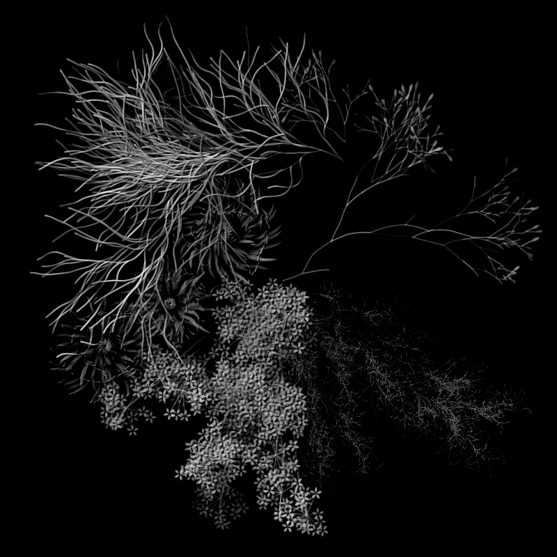 Botanical Ghosts #289