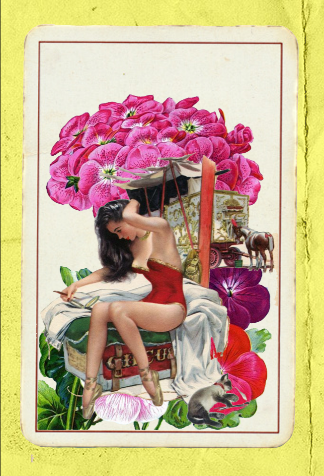Paper Pinups  #19
