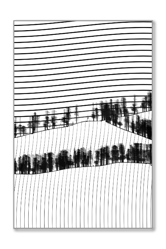 Harmonious Hill #34