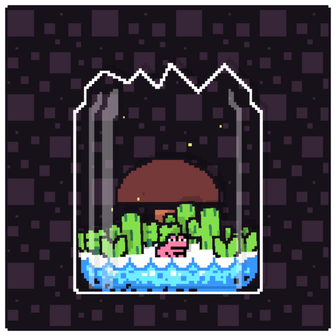 Toad Terrarium #64