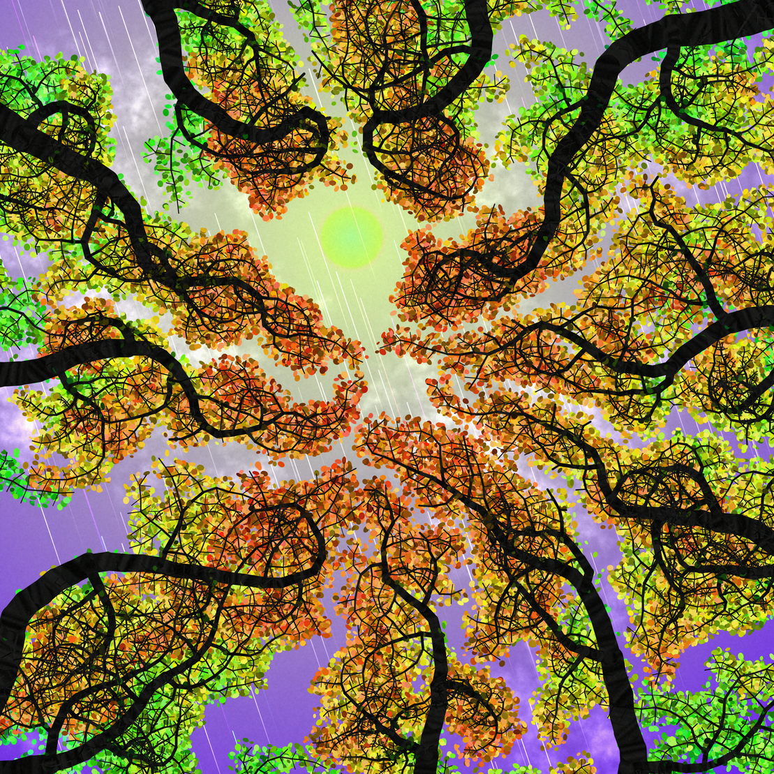 Tree Skyness #118
