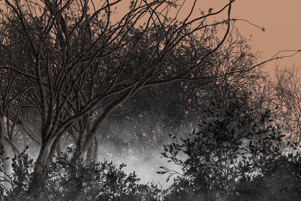 Morning Mist #102