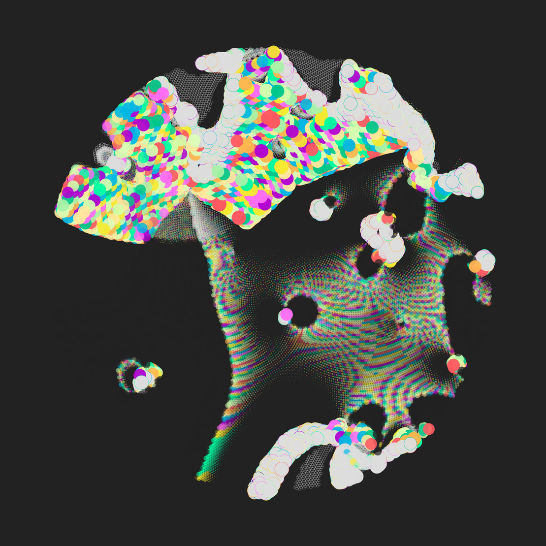 Still C #22145