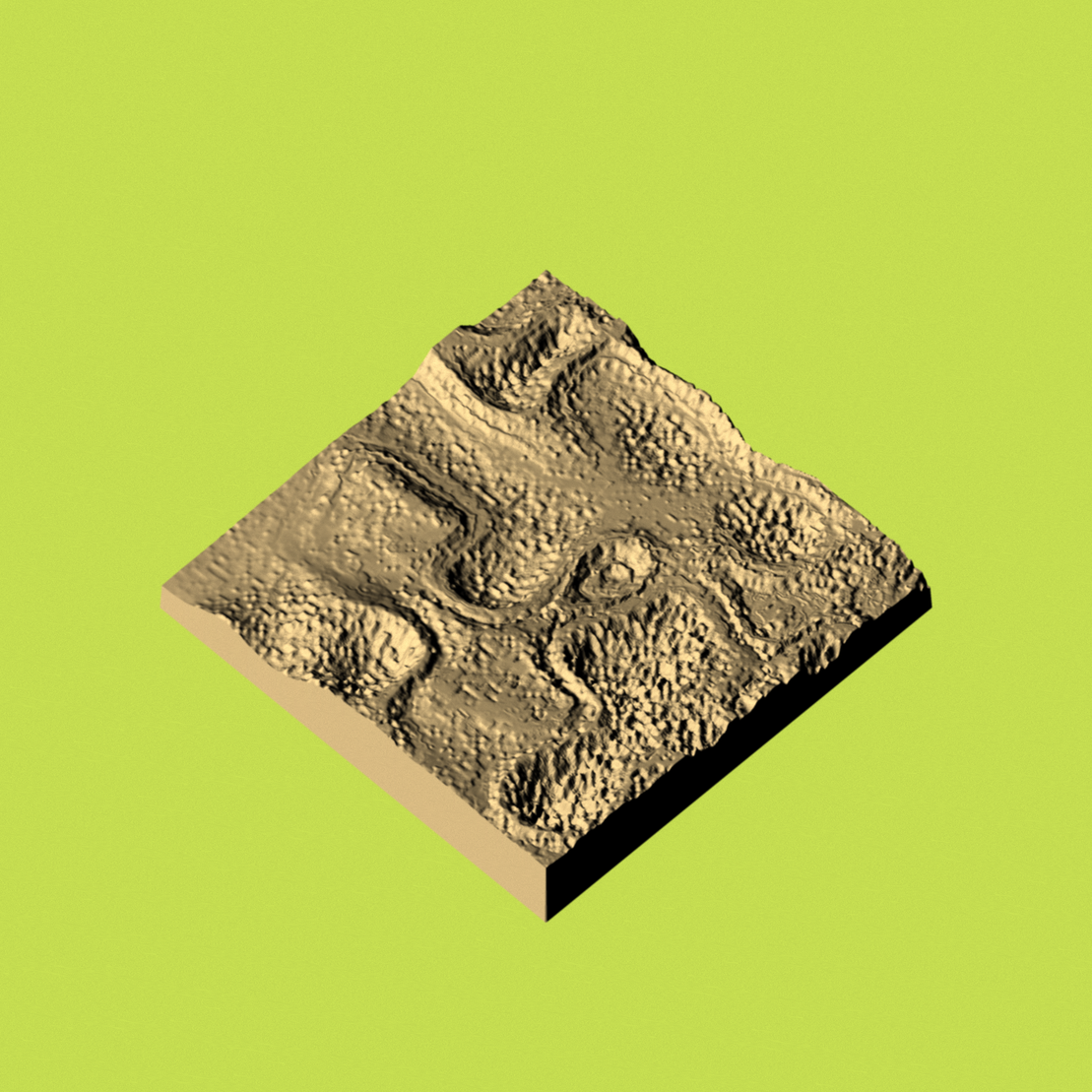 terrestrial  #18