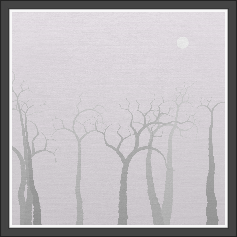 The Foggy Trees #61