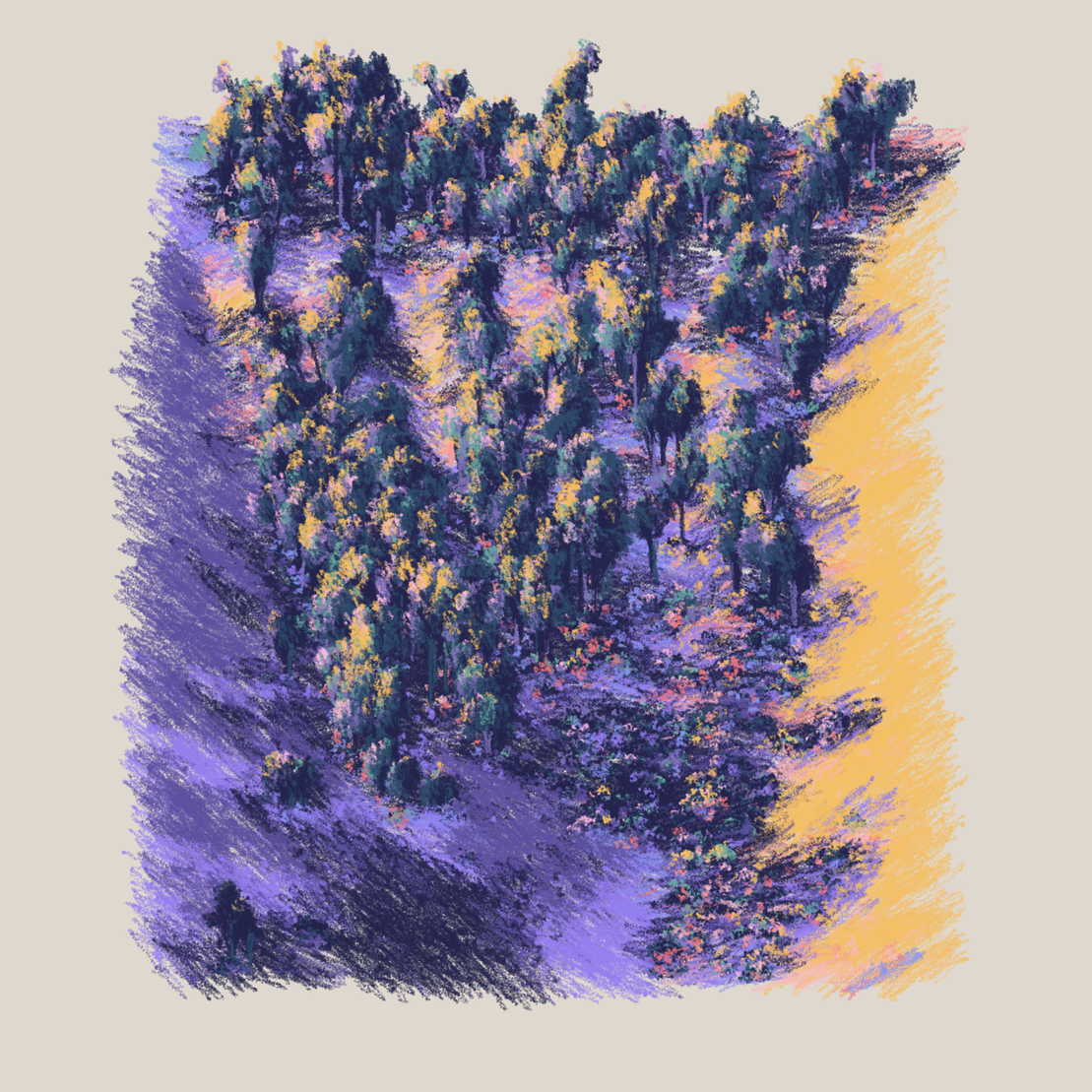 Eucalyptus and Sagebrush #173