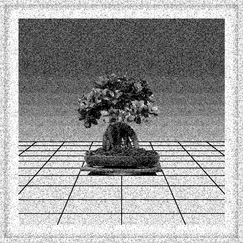 Bonsai Bonanza #309