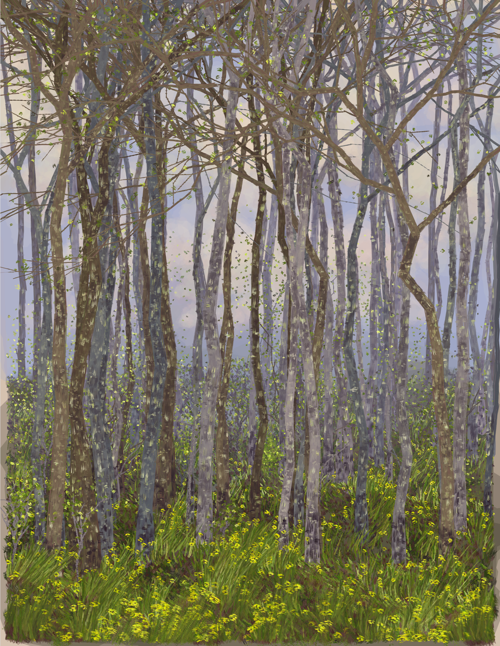 Deep Forest #201