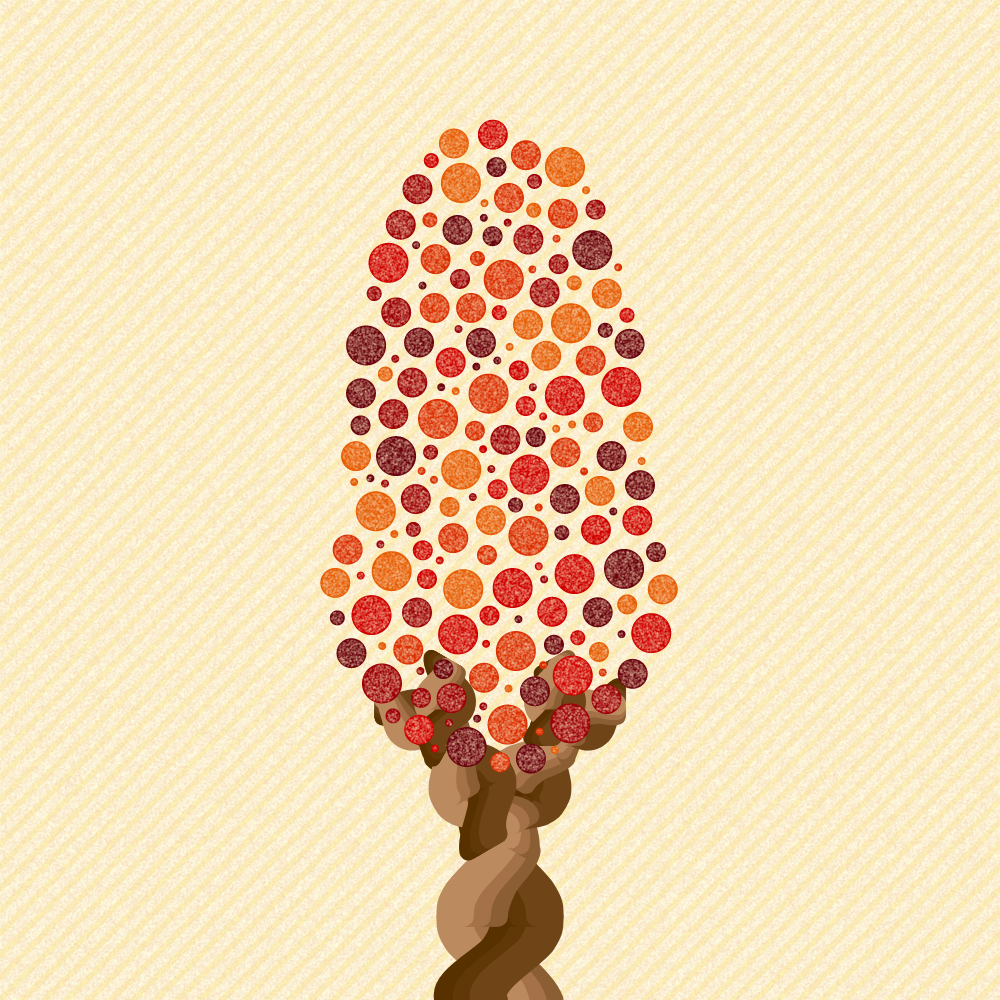 AUTUMN TREE #29