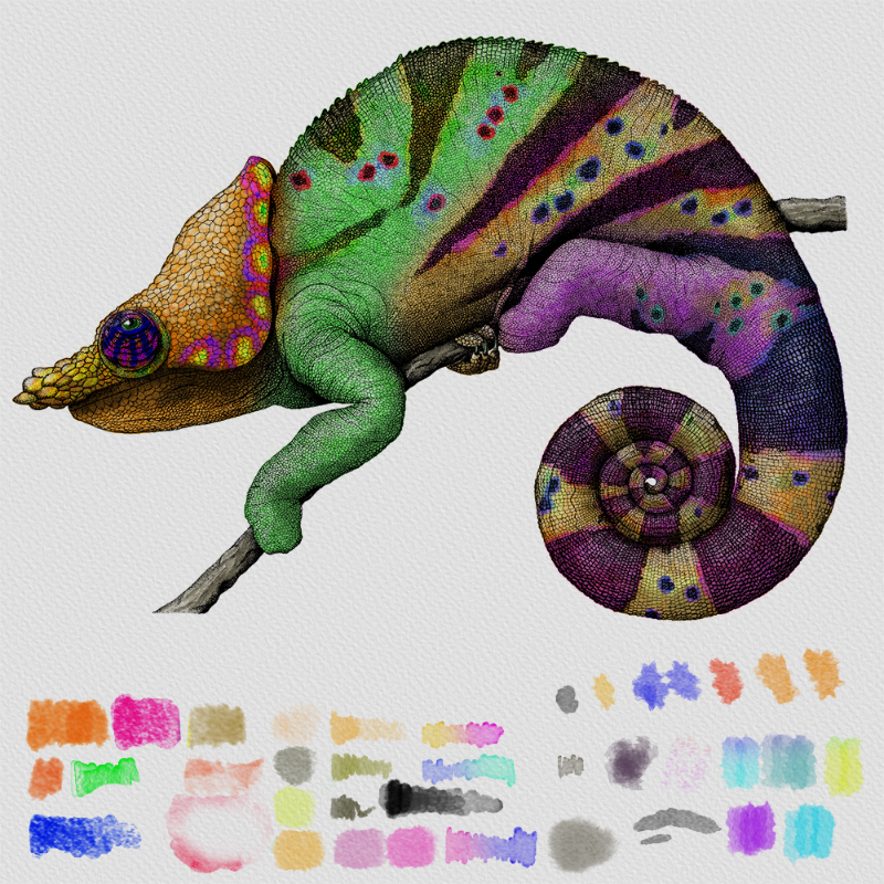 Colorful Cameleon #19