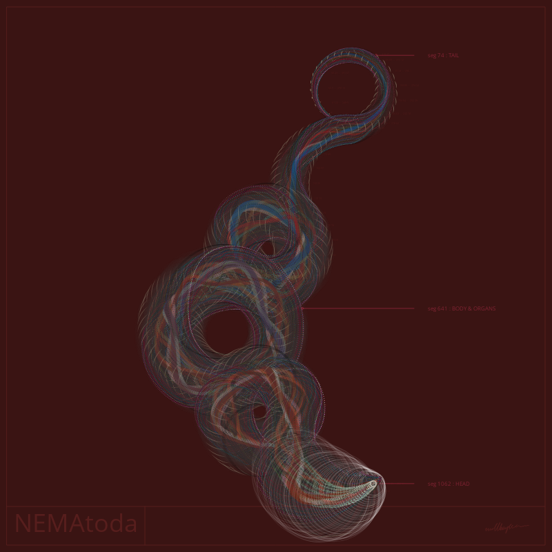 NEMA #3