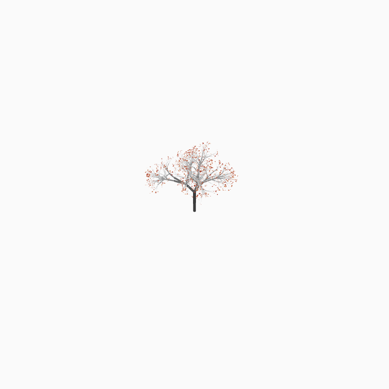 To Be a Tree #19