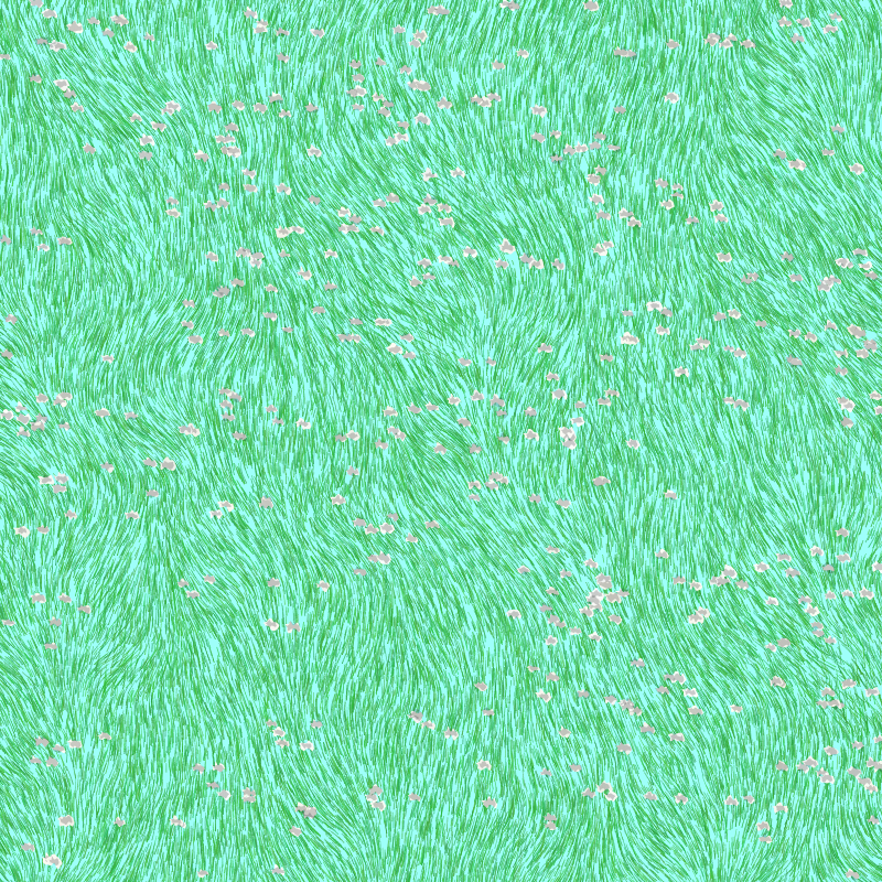 garden and grass #6