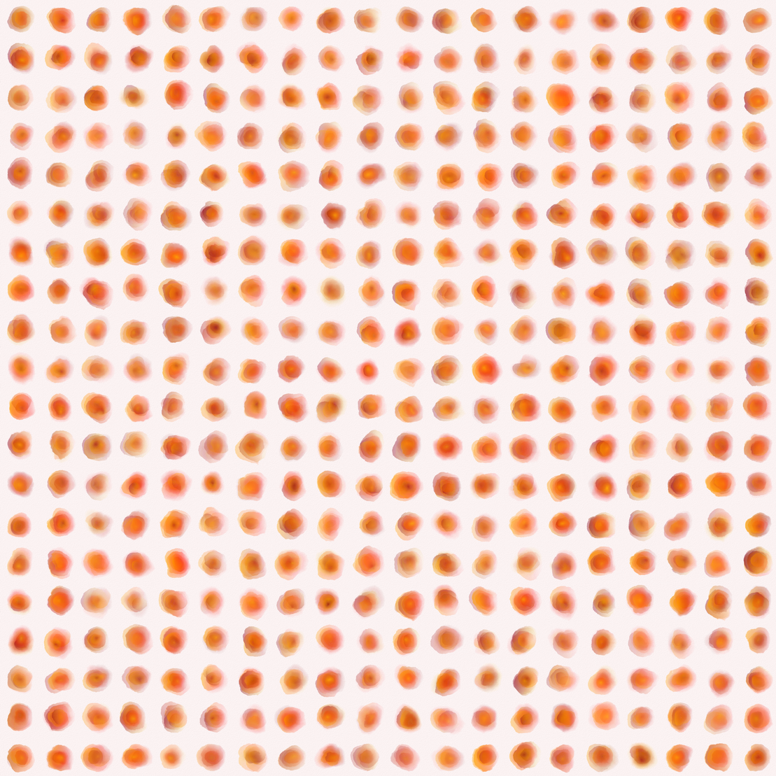 Blotto! #365