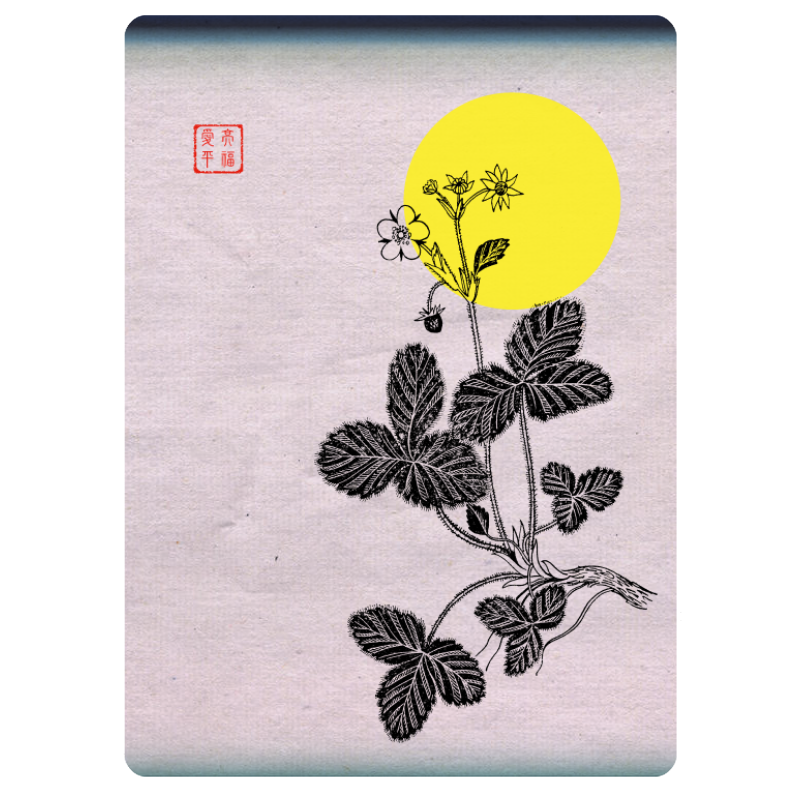 Zen flower card  #20