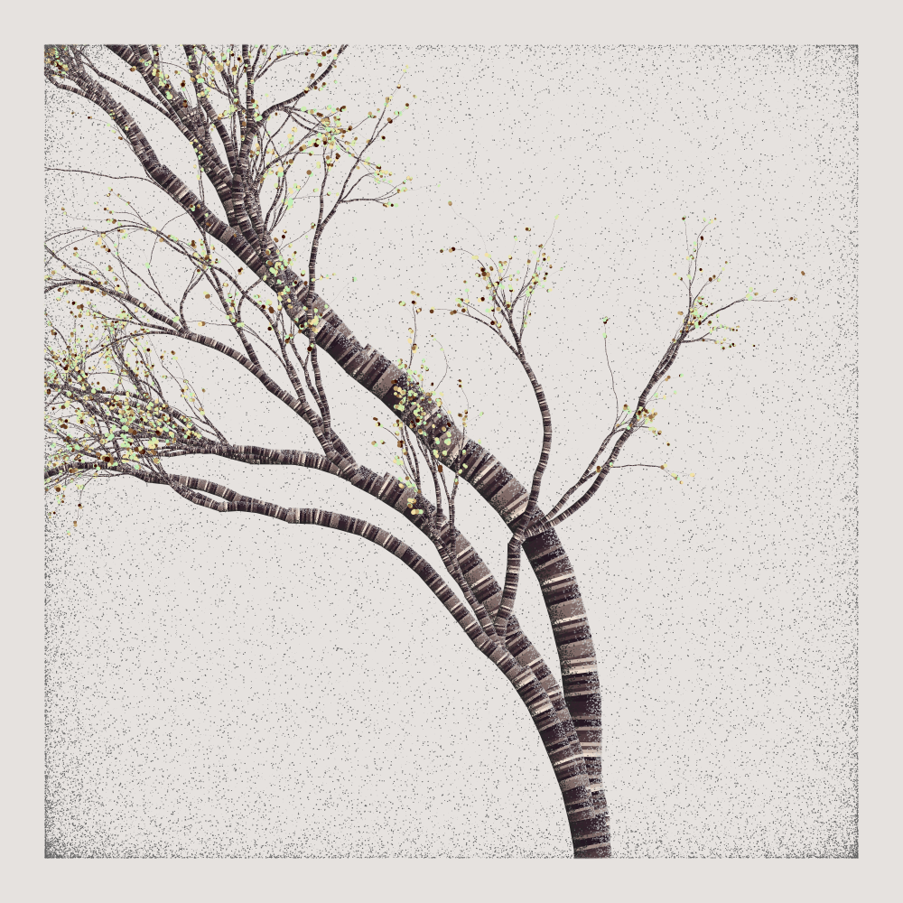 Bougainvillea #174