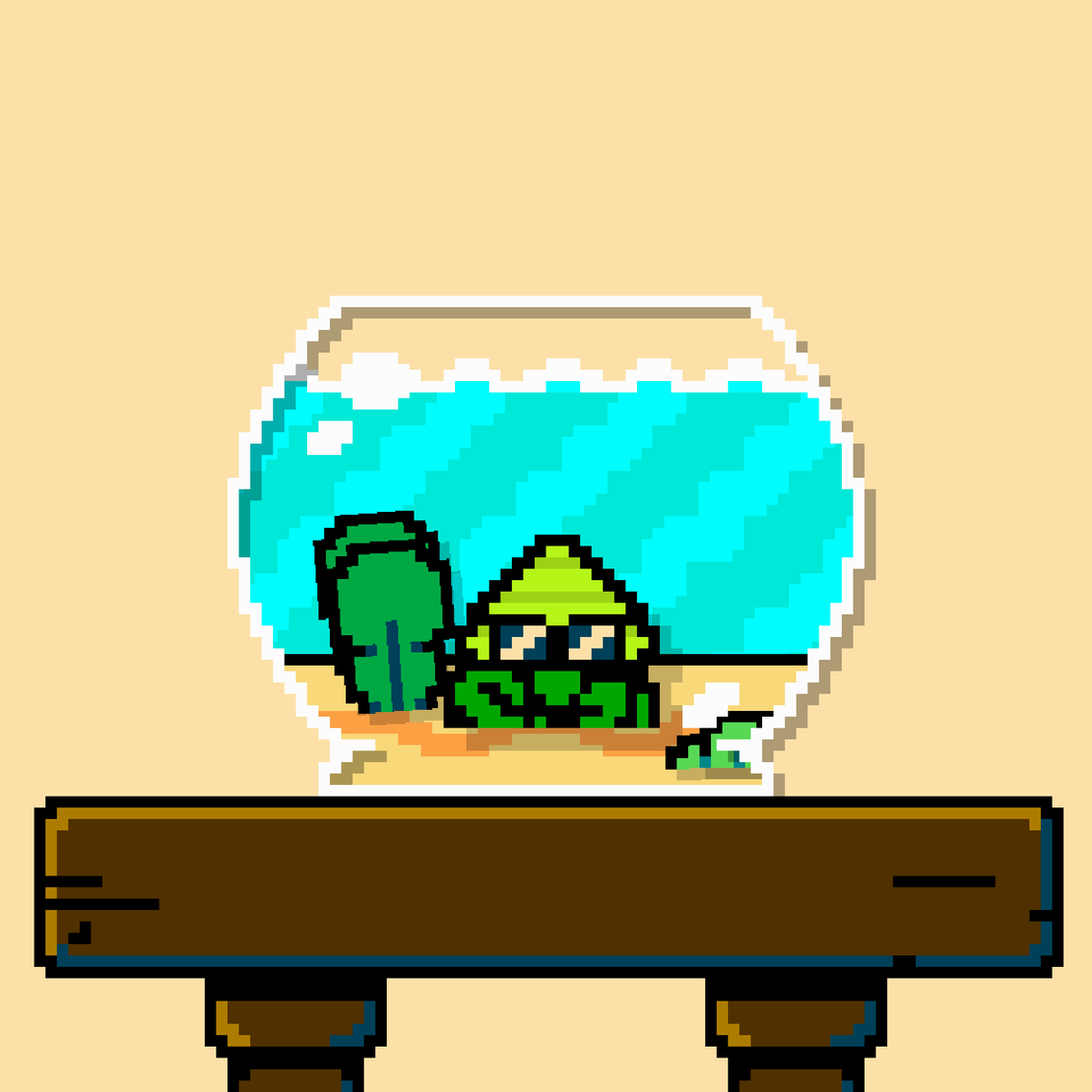 hermit crab #40